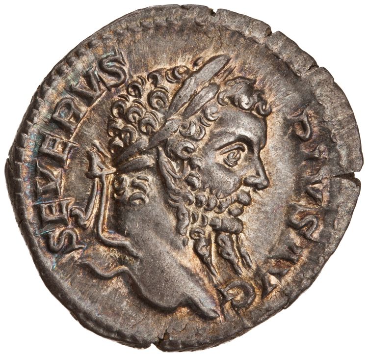 RIC IV Septimius Severus 230, obverse, American Numismatic Society (ans)