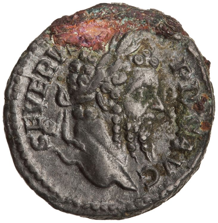 RIC IV Septimius Severus 230, obverse, American Numismatic Society (ans)