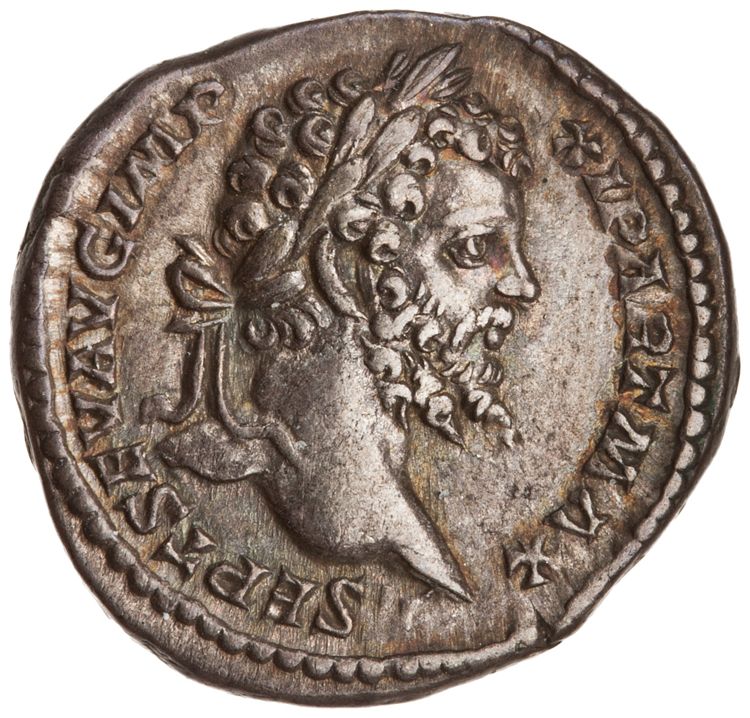 RIC IV Septimius Severus 144B (denarius), аверс, American Numismatic Society (ans)