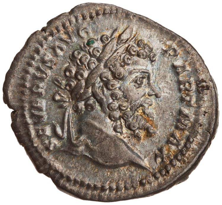 RIC IV Septimius Severus 162, аверс, American Numismatic Society (ans)