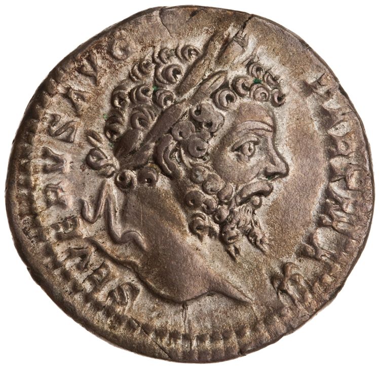 RIC IV Septimius Severus 166, аверс, American Numismatic Society (ans)