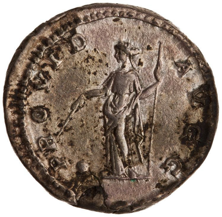RIC IV Septimius Severus 166, реверс, American Numismatic Society (ans)