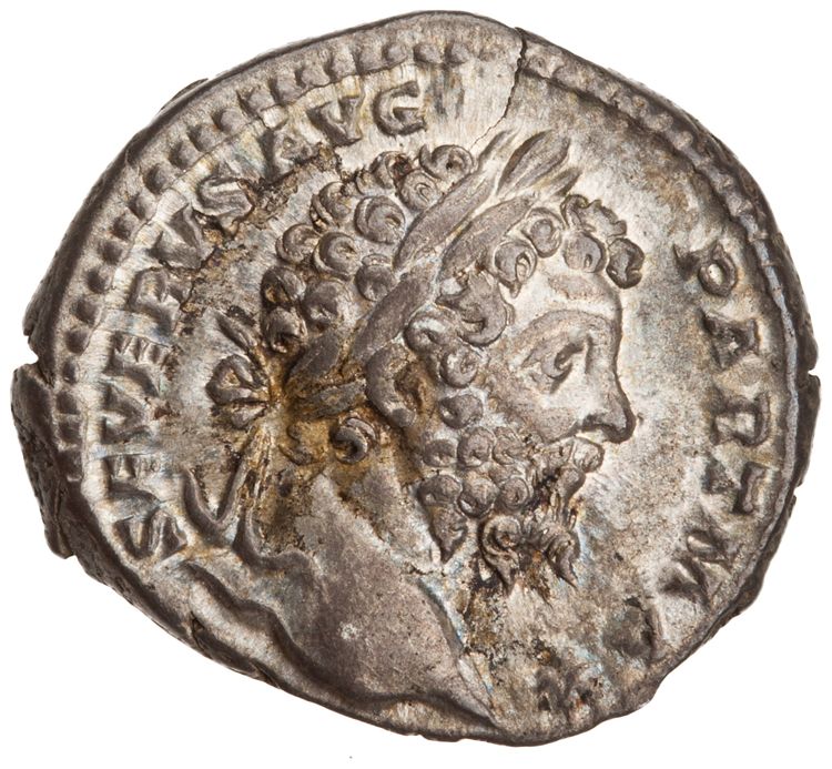 RIC IV Septimius Severus 166, аверс, American Numismatic Society (ans)