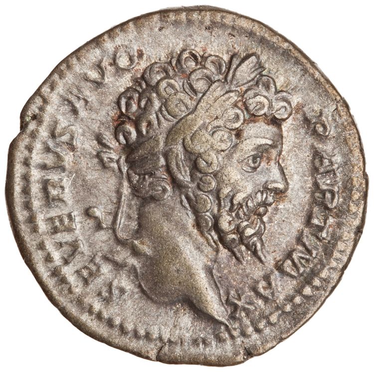 RIC IV Septimius Severus 166, аверс, American Numismatic Society (ans)