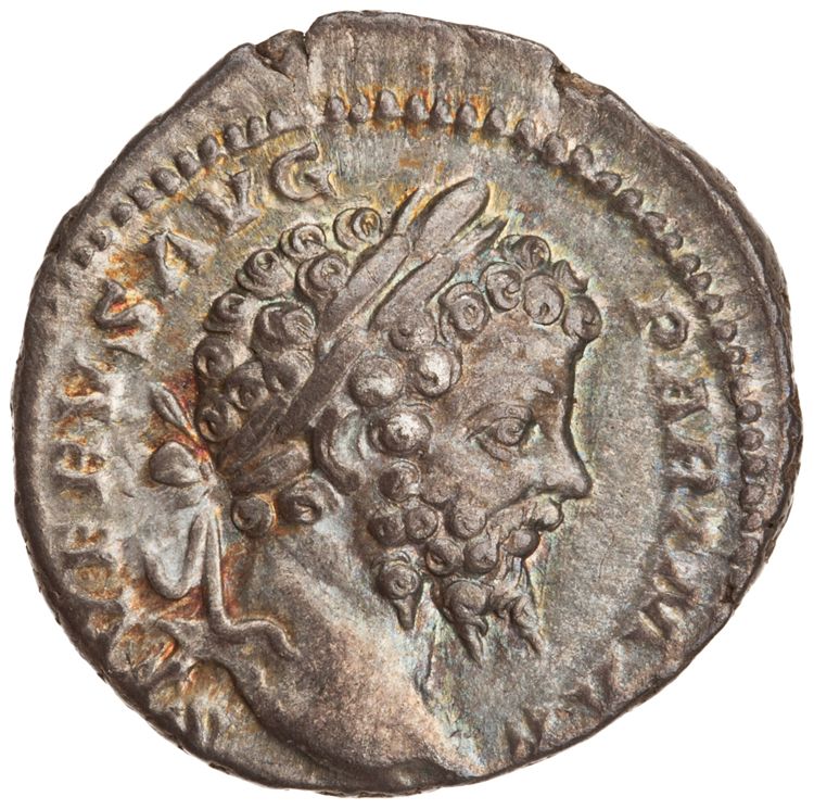RIC IV Septimius Severus 170, аверс, American Numismatic Society (ans)
