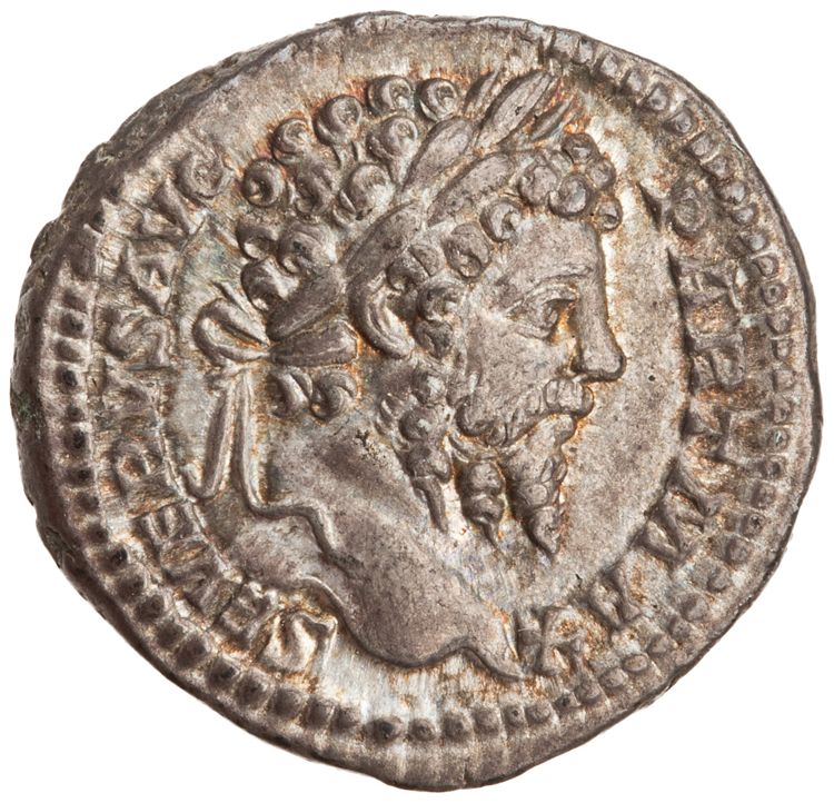RIC IV Septimius Severus 171A (denarius), obverse, American Numismatic Society (ans)