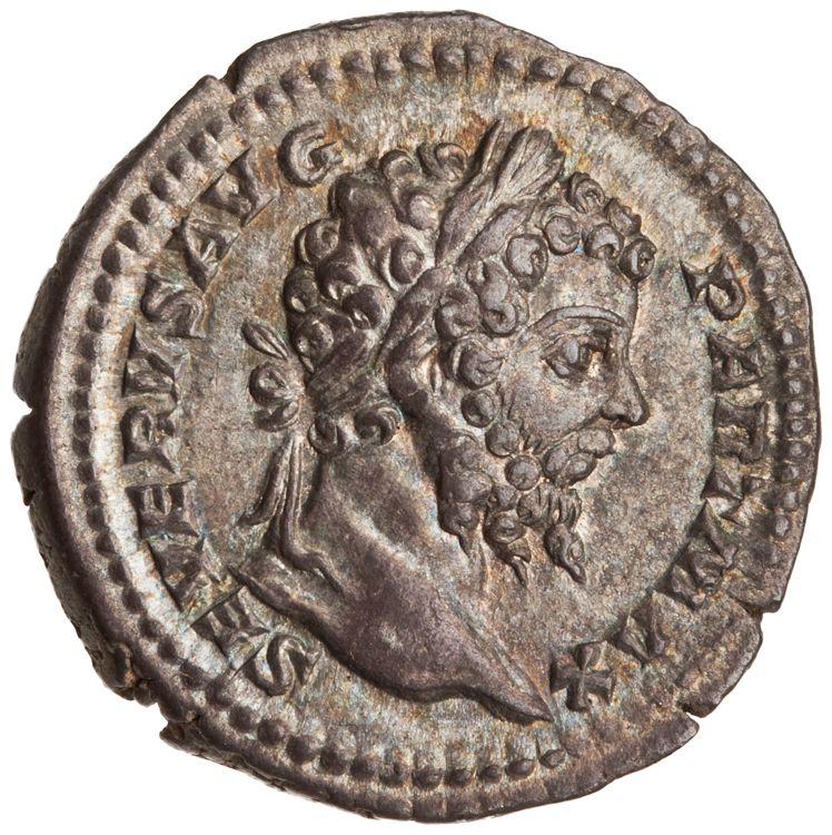 RIC IV Septimius Severus 171A (denarius), obverse, American Numismatic Society (ans)