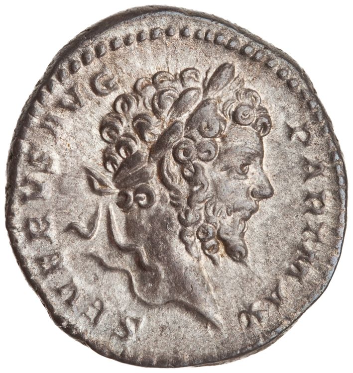 RIC IV Septimius Severus 171A (denarius), obverse, American Numismatic Society (ans)