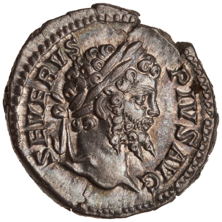 RIC IV Septimius Severus 264A, аверс, American Numismatic Society (ans)
