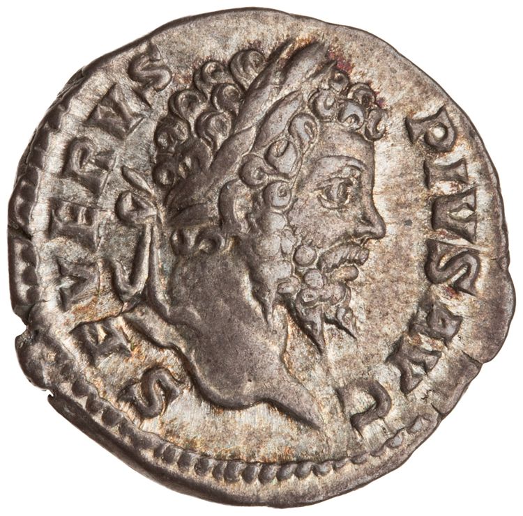 RIC IV Septimius Severus 264A, аверс, American Numismatic Society (ans)