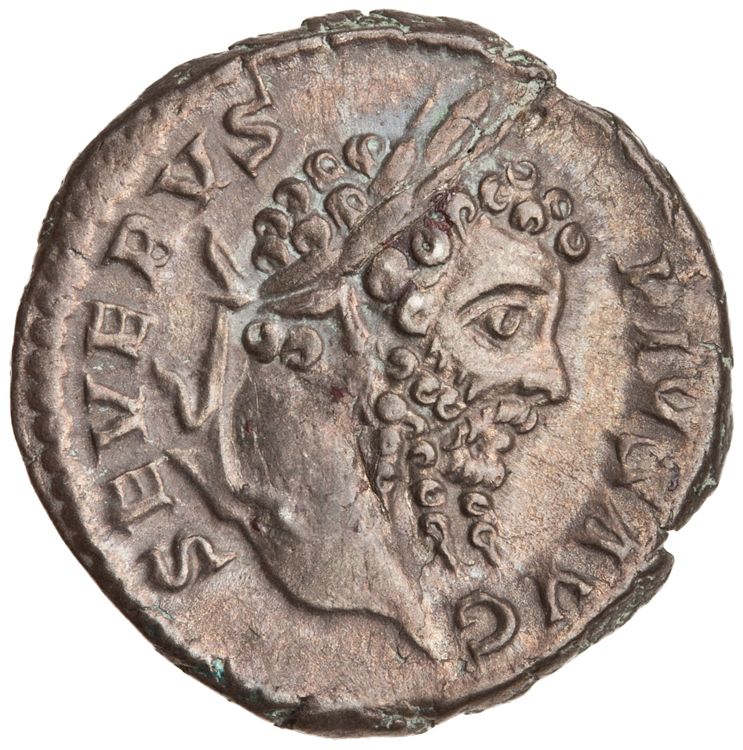 RIC IV Septimius Severus 299 (denarius), аверс, American Numismatic Society (ans)