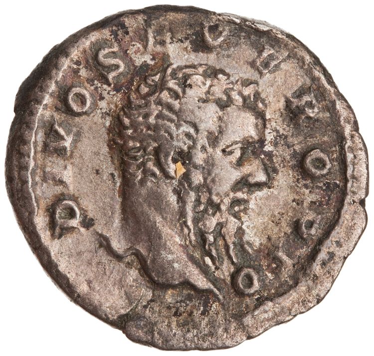 RIC IV Caracalla 191D, аверс, American Numismatic Society (ans)