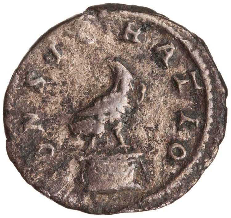 RIC IV Caracalla 191D, реверс, American Numismatic Society (ans)