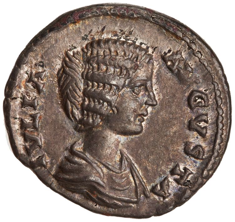 RIC IV Septimius Severus 548 (denarius), аверс, American Numismatic Society (ans)