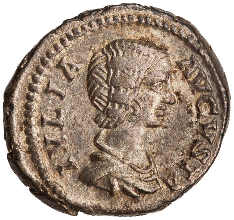 RIC IV Septimius Severus 551, obverse, American Numismatic Society (ans)