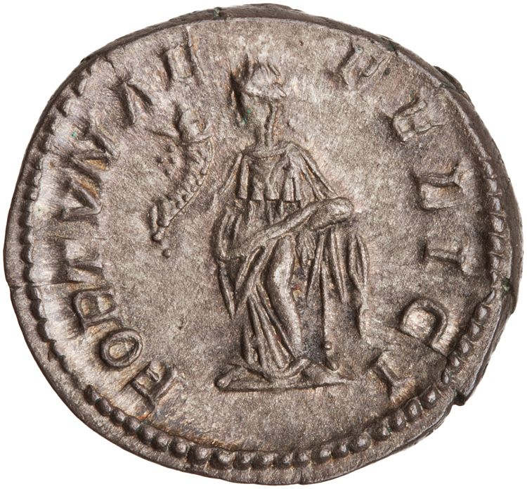 RIC IV Septimius Severus 552, реверс, American Numismatic Society (ans)
