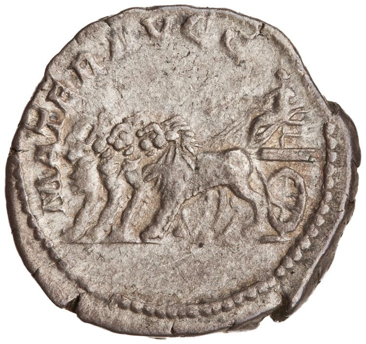 RIC IV Septimius Severus 562 (denarius), реверс, American Numismatic Society (ans)