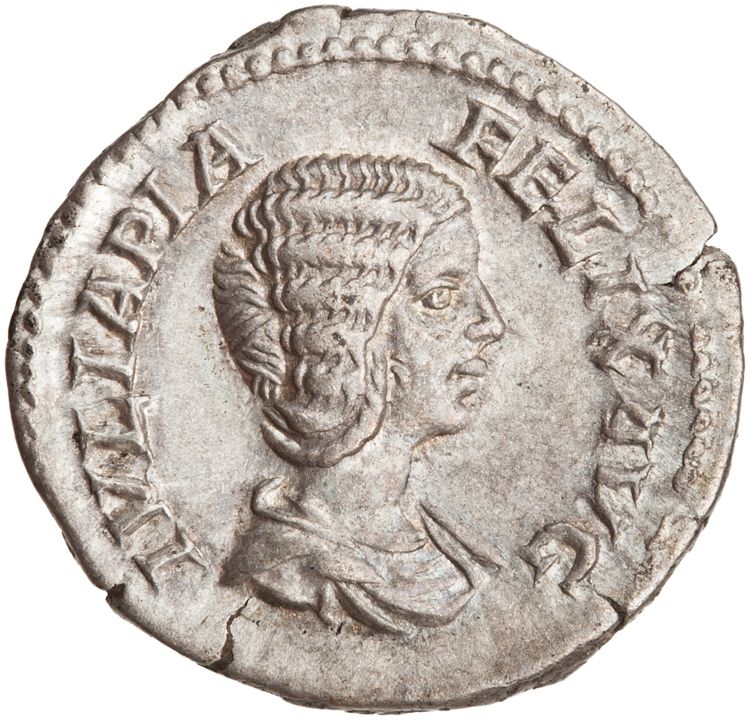 RIC IV Caracalla 379C (denarius), аверс, American Numismatic Society (ans)