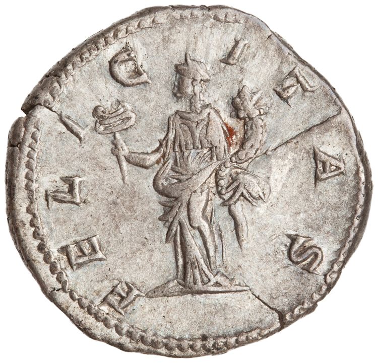 RIC IV Caracalla 379C (denarius), реверс, American Numismatic Society (ans)