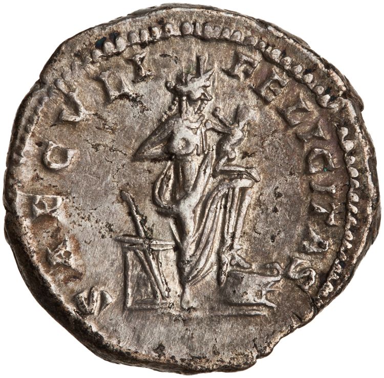 RIC IV Septimius Severus 645 (denarius), реверс, American Numismatic Society (ans)