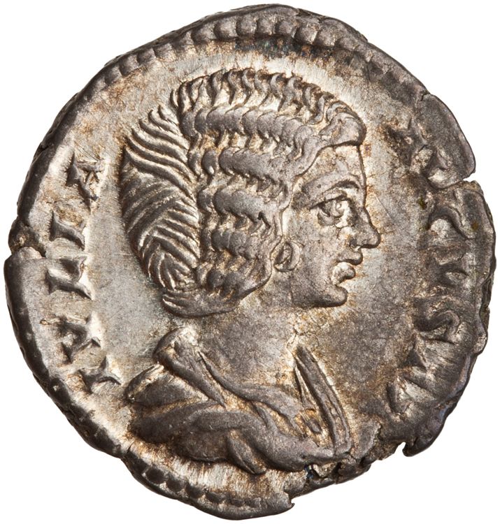 RIC IV Septimius Severus 645 (denarius), аверс, American Numismatic Society (ans)