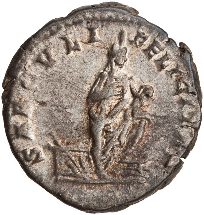 RIC IV Septimius Severus 645 (denarius), реверс, American Numismatic Society (ans)