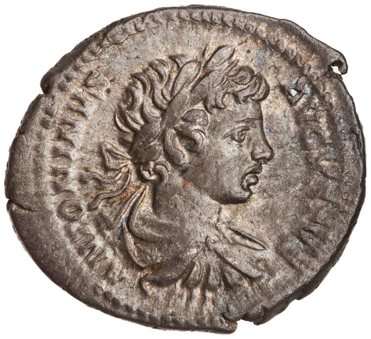RIC IV Caracalla 29 (denarius), аверс, American Numismatic Society (ans)