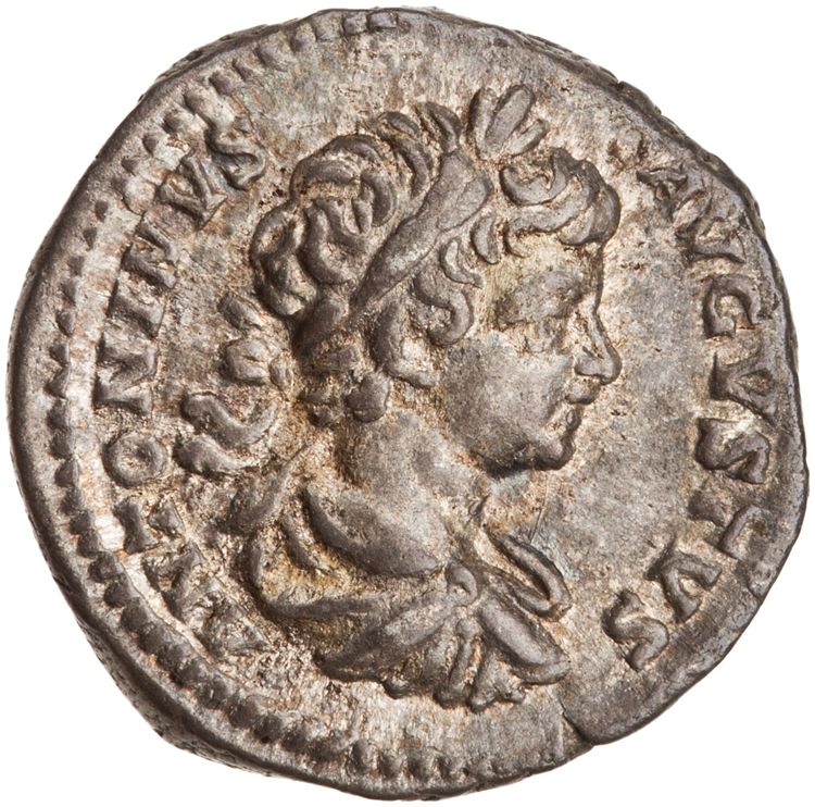RIC IV Caracalla 39A (denarius), аверс, American Numismatic Society (ans)