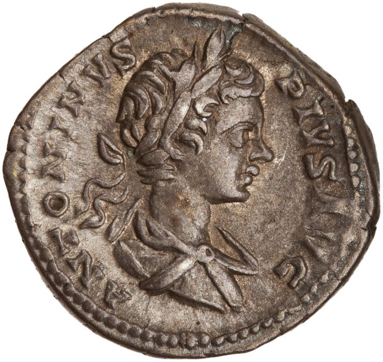 RIC IV Caracalla 54B, аверс, American Numismatic Society (ans)