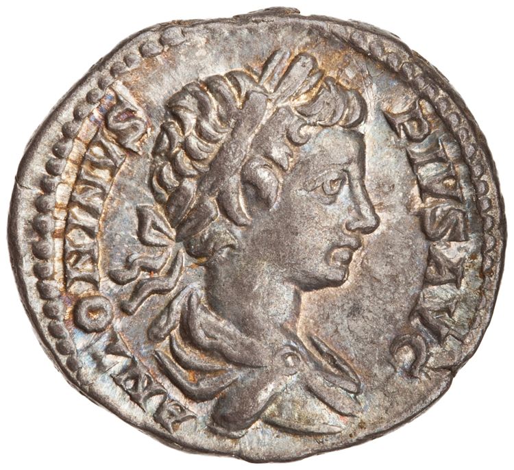 RIC IV Caracalla 54B, аверс, American Numismatic Society (ans)