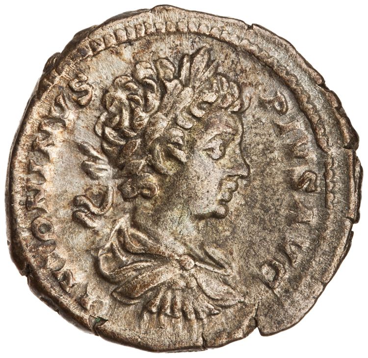 RIC IV Caracalla 54A, аверс, American Numismatic Society (ans)