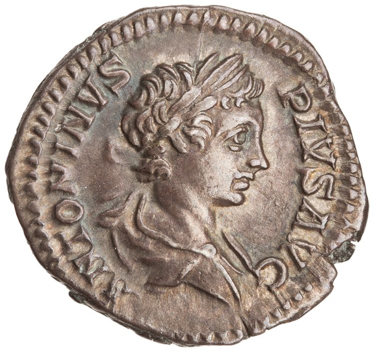 RIC IV Caracalla 130A (denarius), obverse, American Numismatic Society (ans)