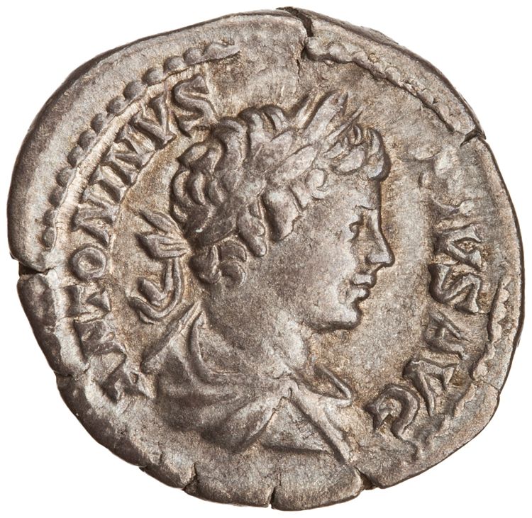 RIC IV Caracalla 130A (denarius), obverse, American Numismatic Society (ans)