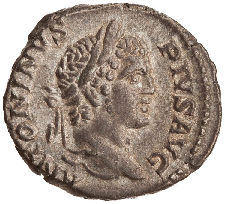 RIC IV Caracalla 96, аверс, American Numismatic Society (ans)