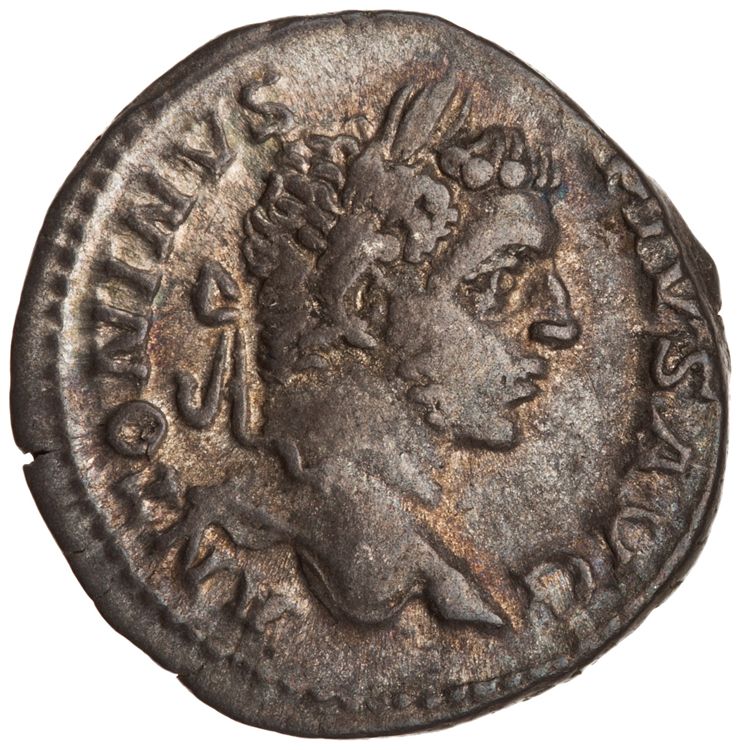 RIC IV Caracalla 107, аверс, American Numismatic Society (ans)