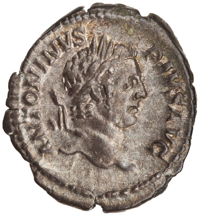 RIC IV Caracalla 107, аверс, American Numismatic Society (ans)