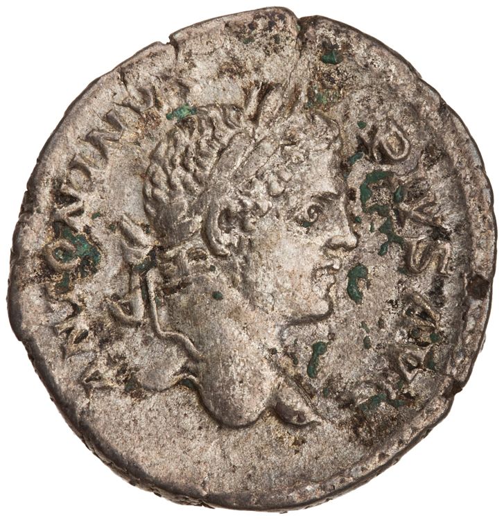 RIC IV Caracalla 108, аверс, American Numismatic Society (ans)