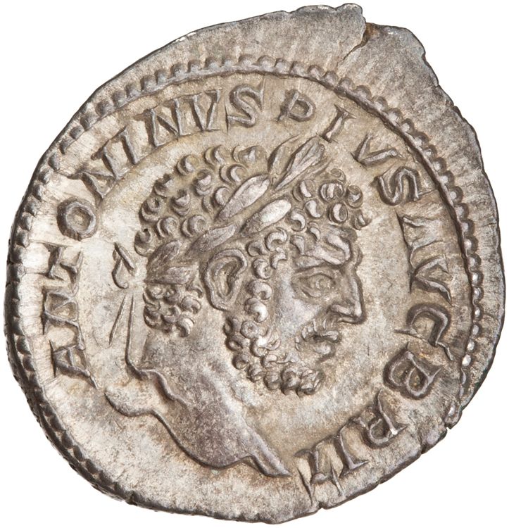 RIC IV Caracalla 223, аверс, American Numismatic Society (ans)