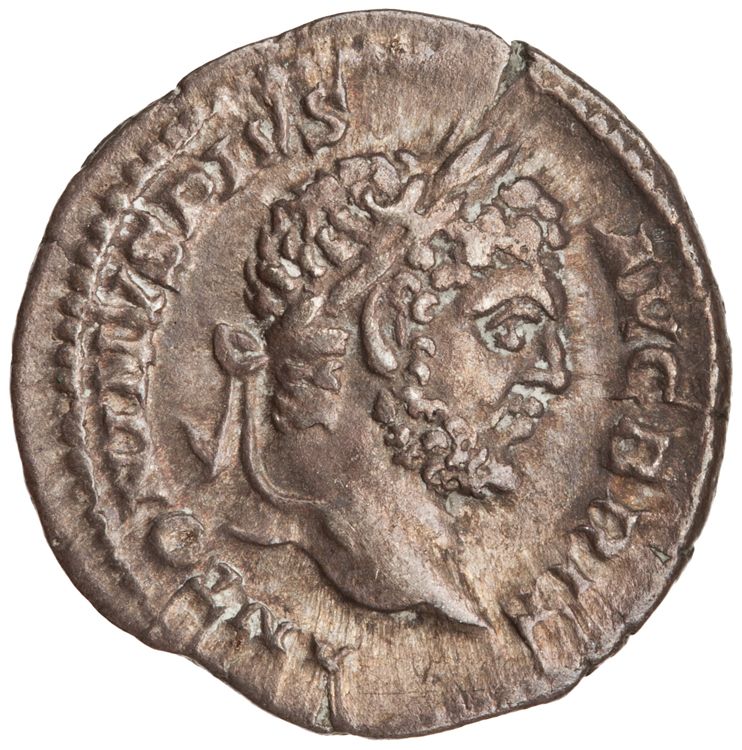 RIC IV Caracalla 222, аверс, American Numismatic Society (ans)
