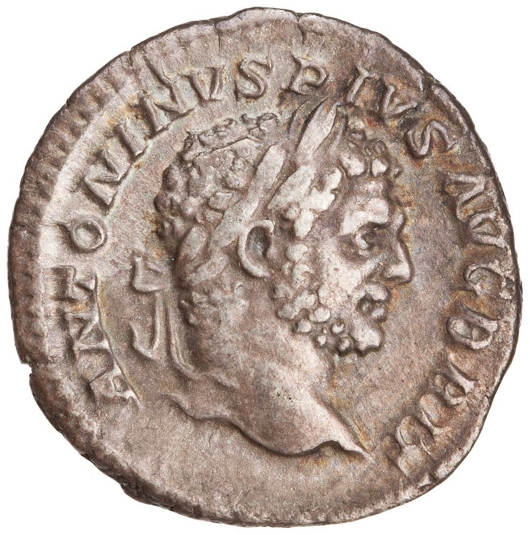 RIC IV Caracalla 223, аверс, American Numismatic Society (ans)