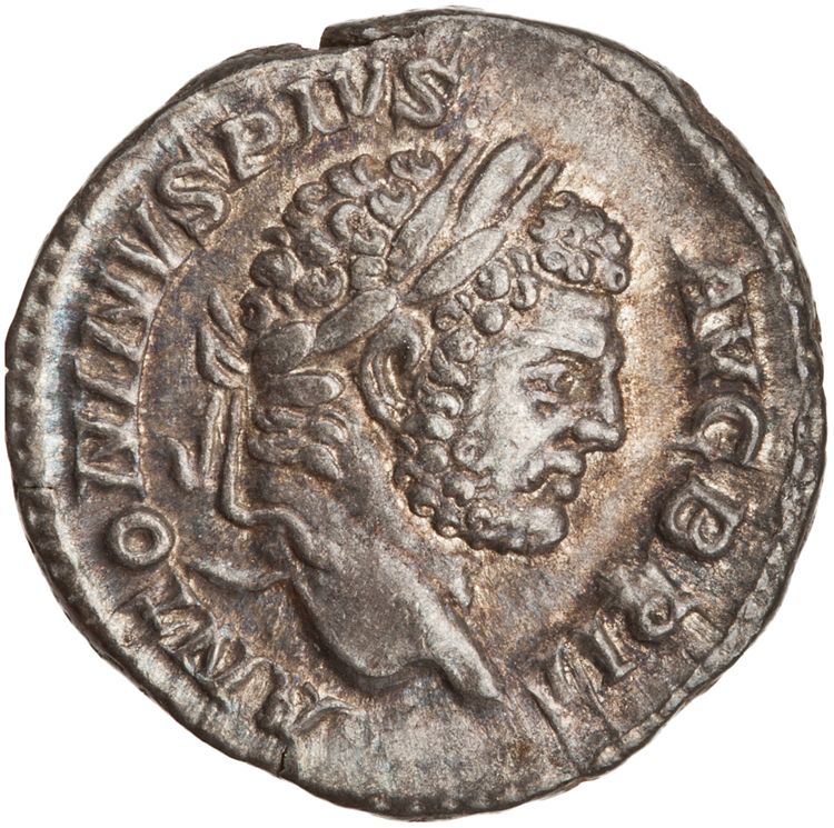 RIC IV Caracalla 224, аверс, American Numismatic Society (ans)