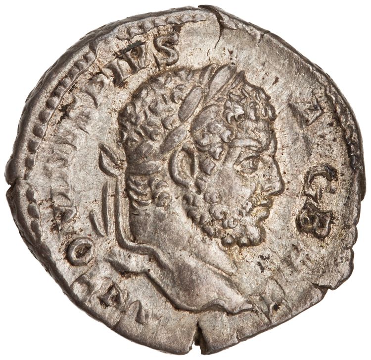 RIC IV Caracalla 226, аверс, American Numismatic Society (ans)