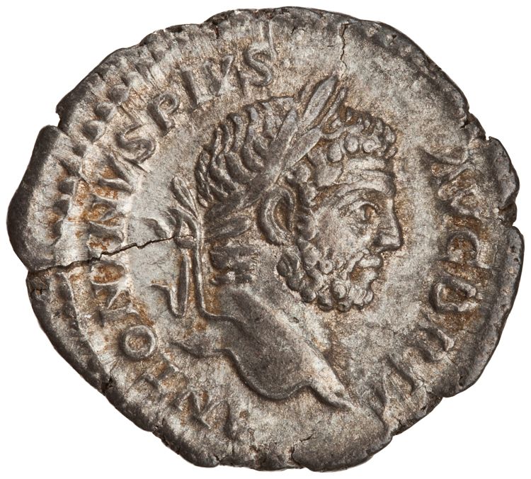 RIC IV Caracalla 231, аверс, American Numismatic Society (ans)