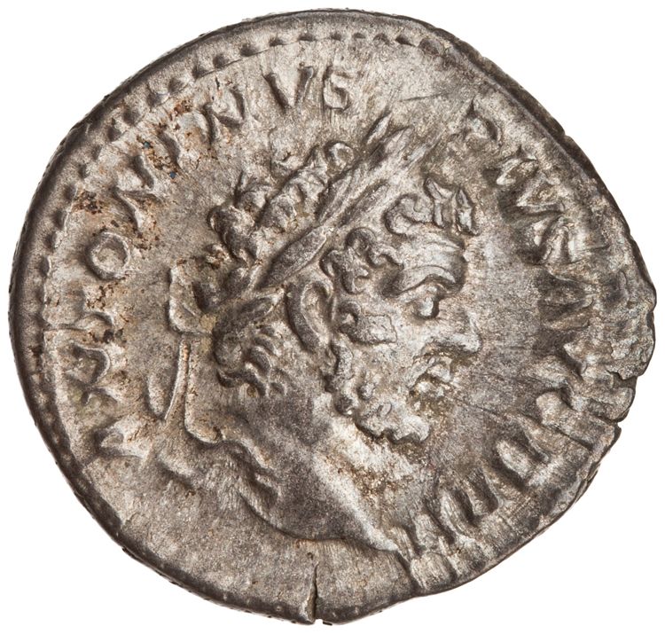 RIC IV Caracalla 192 (denarius), obverse, American Numismatic Society (ans)