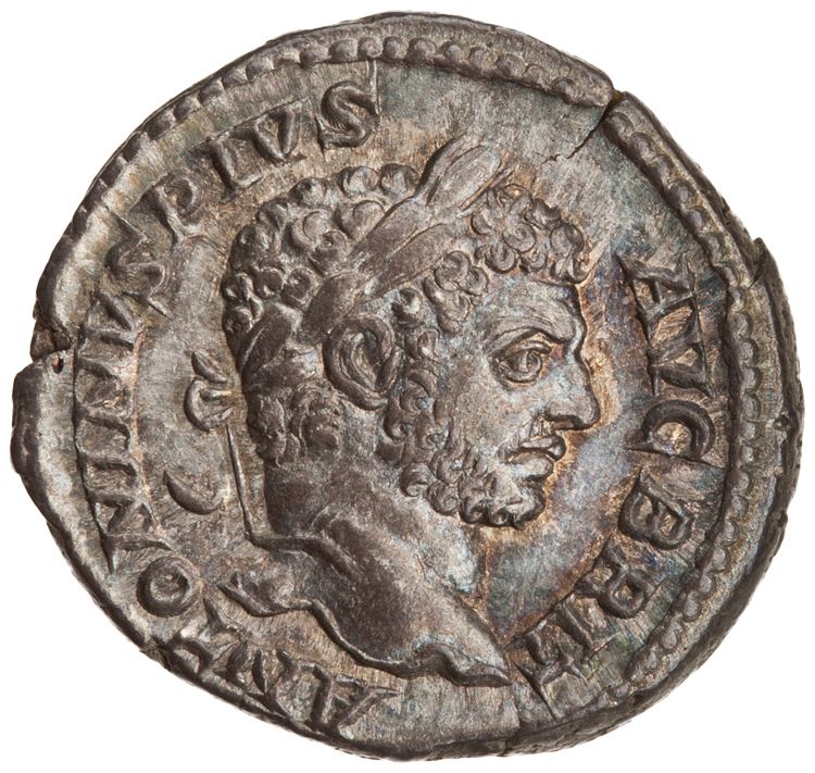 RIC IV Caracalla 194, аверс, American Numismatic Society (ans)