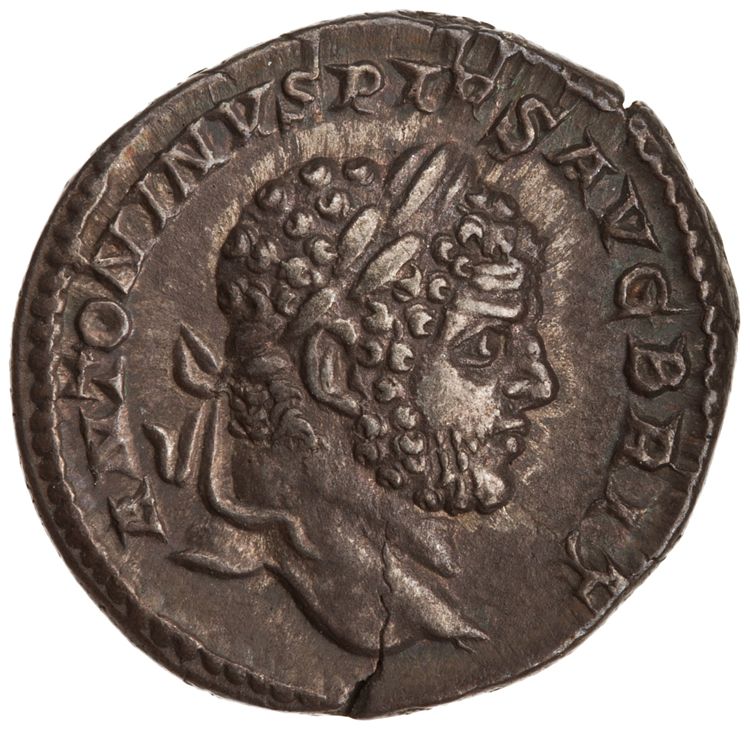 RIC IV Caracalla 196, аверс, American Numismatic Society (ans)