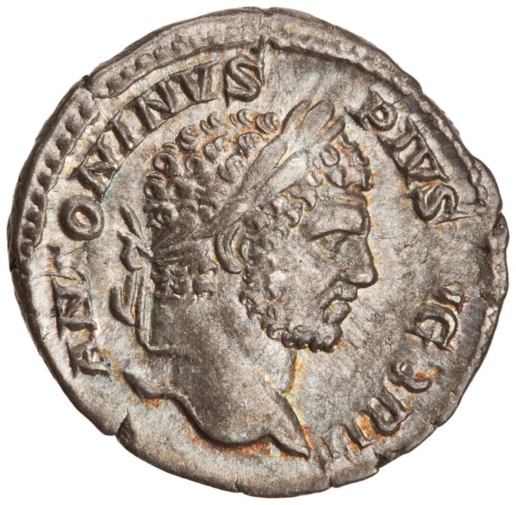RIC IV Caracalla 206A, аверс, American Numismatic Society (ans)