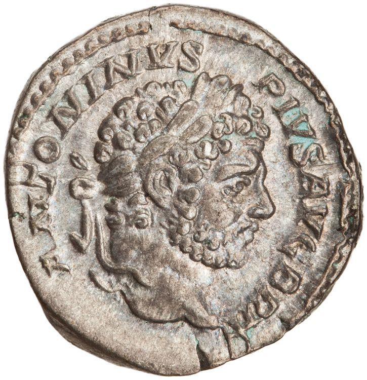 RIC IV Caracalla 206A, аверс, American Numismatic Society (ans)