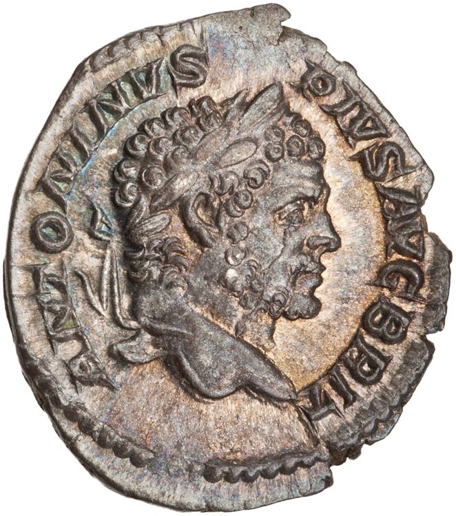 RIC IV Caracalla 206A, аверс, American Numismatic Society (ans)