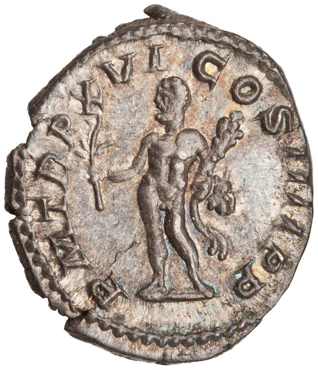 RIC IV Caracalla 206A, реверс, American Numismatic Society (ans)